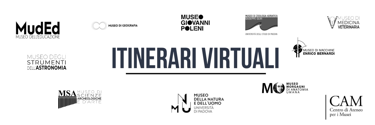 Banner per accessibilità in modalità scura